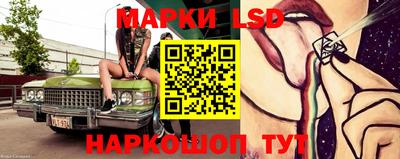 стафф Новодвинск