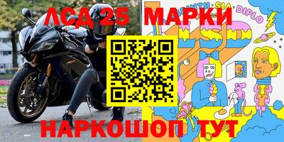 амф Новокубанск