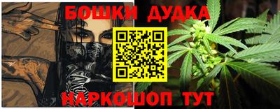 стафф Новодвинск