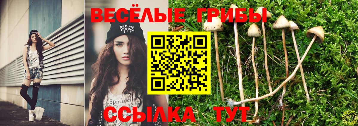 наркотики  Вход с VPN  Псилоцибиновые грибы Cubensis  Советская Гавань  Псилоцибиновые грибы ЛСД 